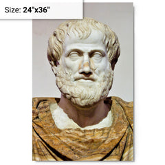 Aristotle metal print on a plain backdrop in size 24"x36".