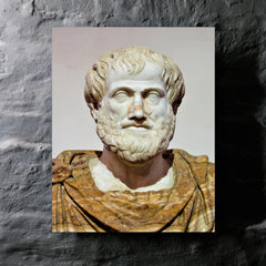 Aristotle metal print mockup