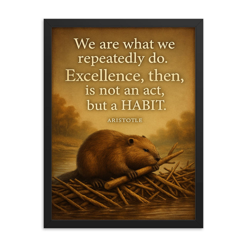 aristotle quote excellence is a habit beaver building framed print on a plain backdrop in size 18