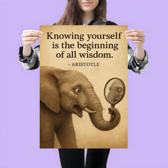 aristotle quote knowing yourself elephant looking at reflection wisdom poster 3