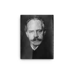 Arnold Sommerfeld canvas print on a plain backdrop in size 12"x16".