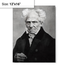 Arthur Schopenhauer metal print on a plain backdrop in size 12"x16".
