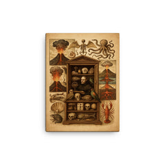 Athanasius Kircher cabinet of wonders and volcanic diagrams canvas print on a plain backdrop in size 12"x16".