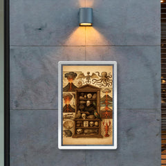 Athanasius Kircher cabinet of wonders and volcanic diagrams poster 2