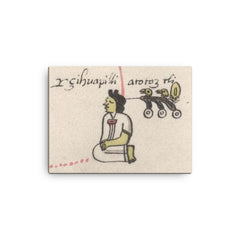 Atotoztli II canvas print on a plain backdrop in size 12"x16".