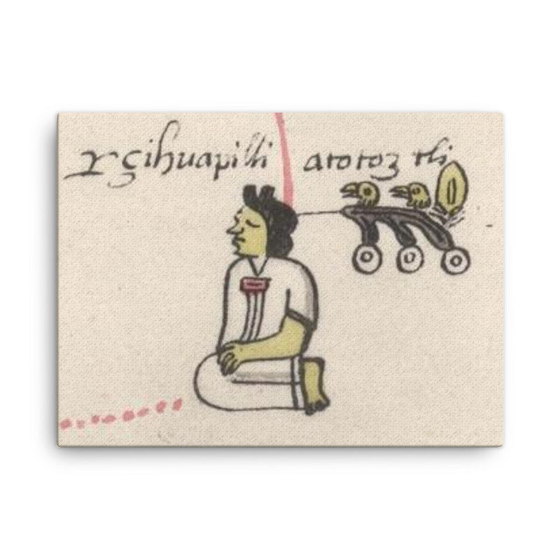 Atotoztli II canvas print on a plain backdrop in size 18