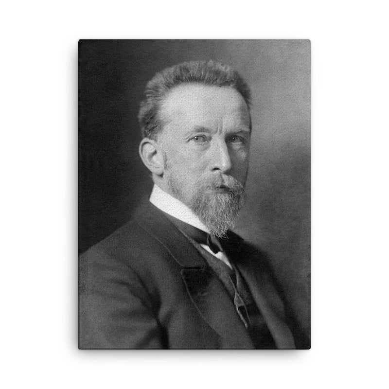 August Schmarsow canvas print on a plain backdrop in size 18