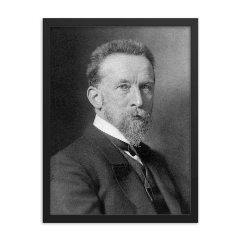 August Schmarsow framed print on a plain backdrop in size 18