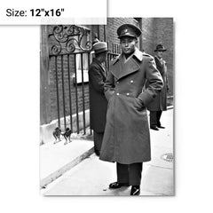 Aung San metal print on a plain backdrop in size 12"x16".