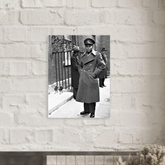 Aung San metal print mockup