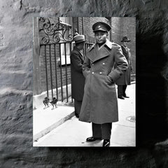 Aung San metal print mockup