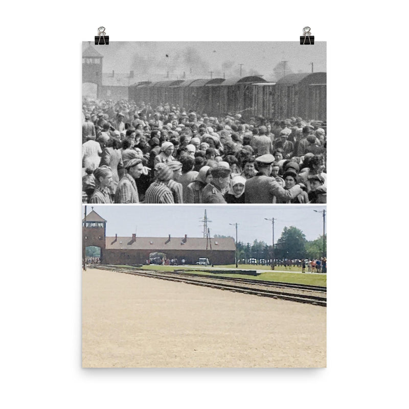 Auschwitz-Birkenau, 1944 poster on a plain backdrop in size 8