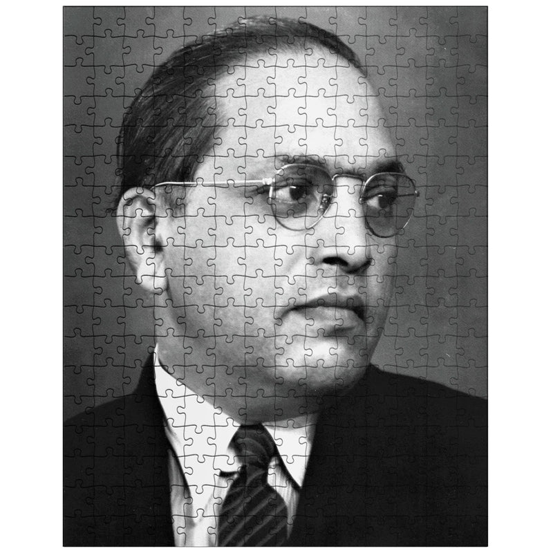 B R Ambedkar jigsaw puzzle