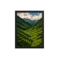 Banaue Rice Terraces Philippines framed print on a plain backdrop in size 12"x16".