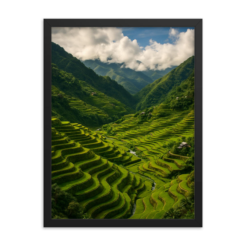 Banaue Rice Terraces Philippines framed print on a plain backdrop in size 18