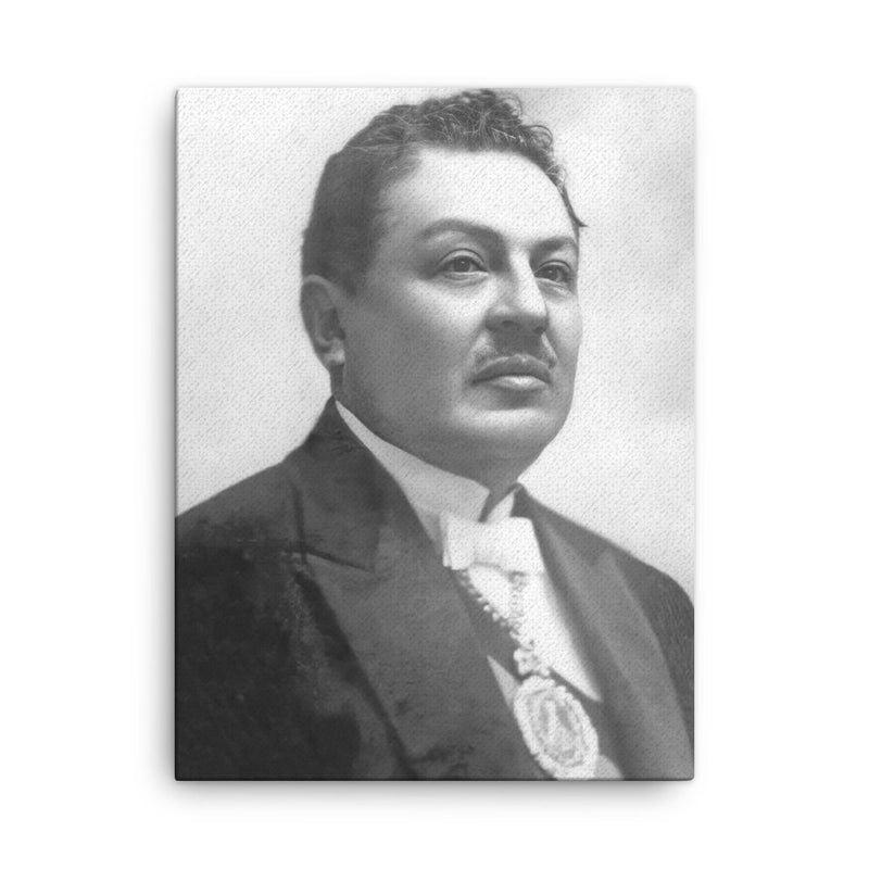 Bautista Saavedra canvas print on a plain backdrop in size 18