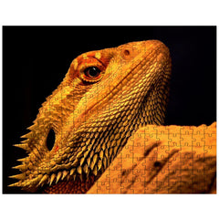 Bearded Dragon jigsaw puzzle