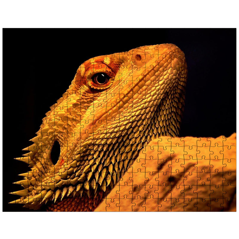 Bearded Dragon jigsaw puzzle