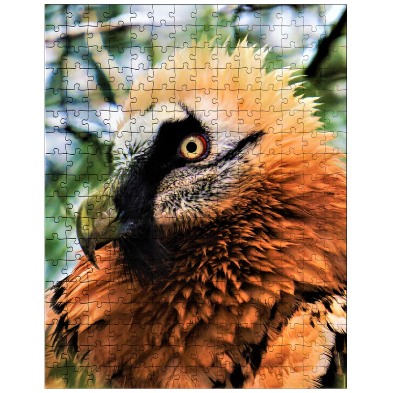 Bearded Vulture jigsaw puzzle