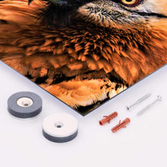 Bearded Vulture metal print mockup