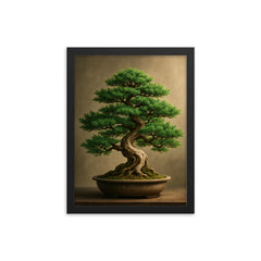 Beautiful vibrant juniper bonsai framed print on a plain backdrop in size 12"x16".