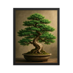 Beautiful vibrant juniper bonsai framed print on a plain backdrop in size 16"x20".