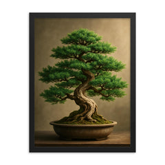 Beautiful vibrant juniper bonsai framed print on a plain backdrop in size 18"x24".