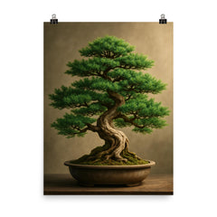 Beautiful vibrant juniper bonsai poster on a plain backdrop in size 8"x10".