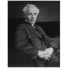 Bela Bartok jigsaw puzzle
