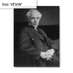Bela Bartok metal print on a plain backdrop in size 12"x16".