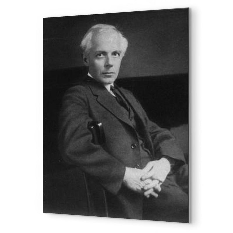 Bela Bartok metal print mockup