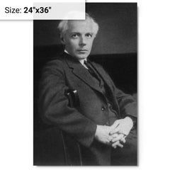 Bela Bartok metal print on a plain backdrop in size 24"x36".