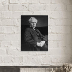 Bela Bartok metal print mockup