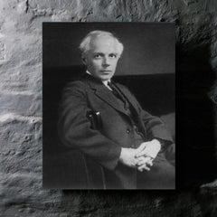 Bela Bartok metal print mockup