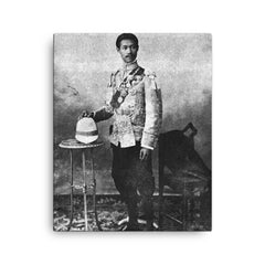 Benbadhanabongse canvas print on a plain backdrop in size 16"x20".