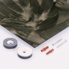 Bessie Smith metal print mockup