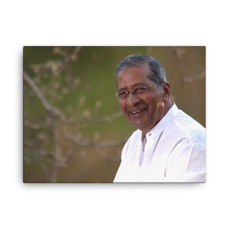 Bhavarlal Jain canvas print on a plain backdrop in size 18