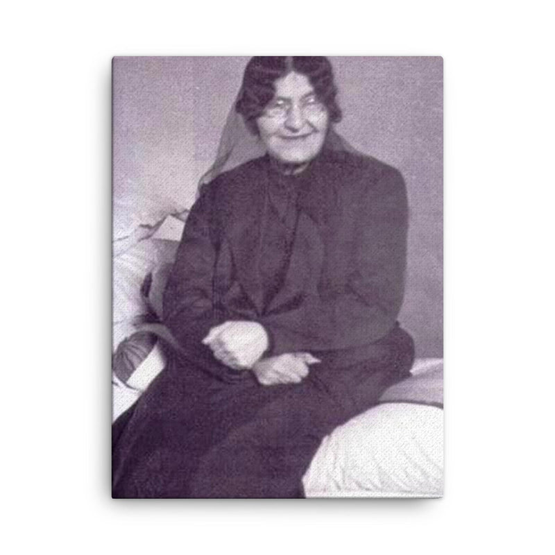 Bibi Maryam Bakhtiari canvas print on a plain backdrop in size 18