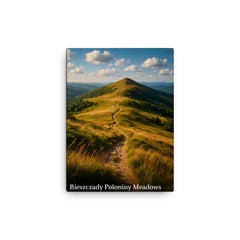 Bieszczady Poloniny Meadows Poland canvas print on a plain backdrop in size 12"x16".