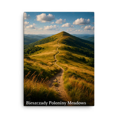 Bieszczady Poloniny Meadows Poland canvas print on a plain backdrop in size 18"x24".