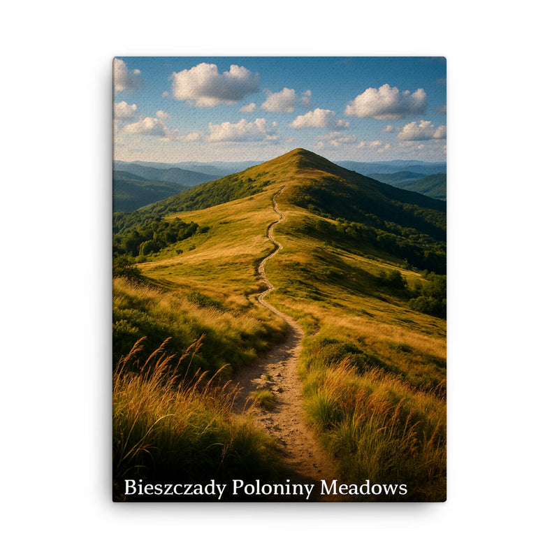 Bieszczady Poloniny Meadows Poland canvas print on a plain backdrop in size 18