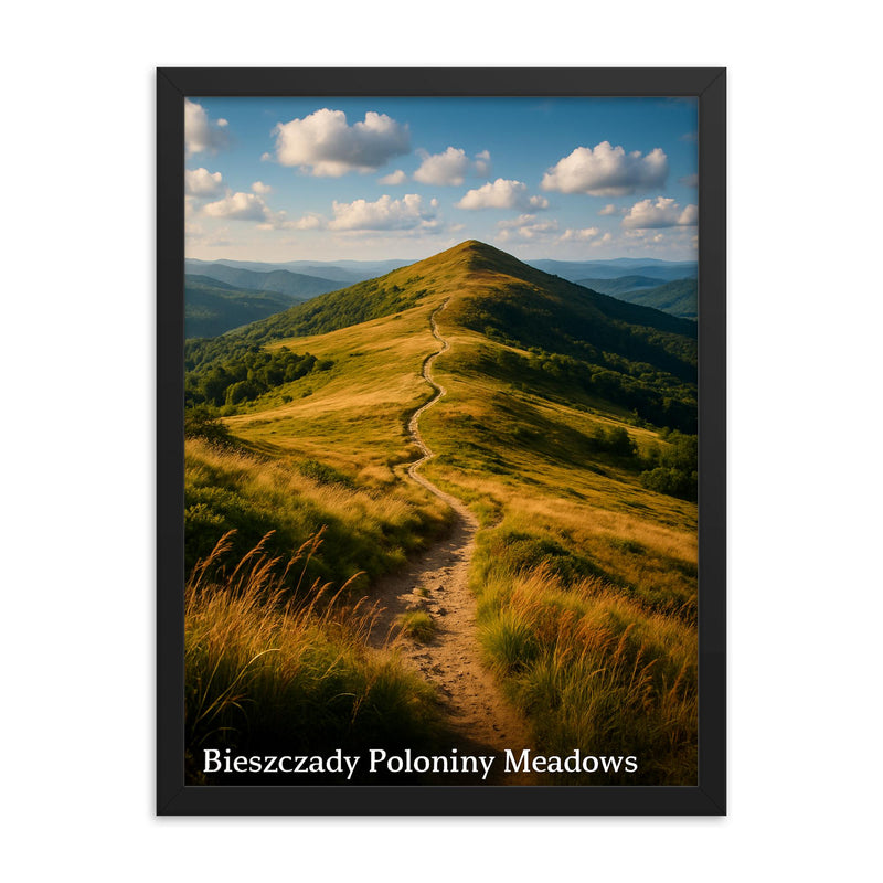 Bieszczady Poloniny Meadows Poland framed print on a plain backdrop in size 18
