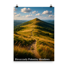 Bieszczady Poloniny Meadows Poland poster on a plain backdrop in size 8"x10".