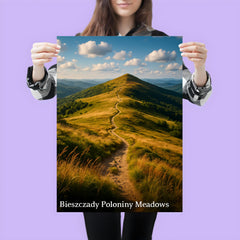 Bieszczady Poloniny Meadows Poland poster 3