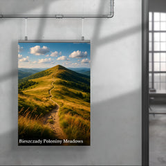 Bieszczady Poloniny Meadows Poland poster 4