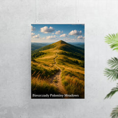 Bieszczady Poloniny Meadows Poland poster 7