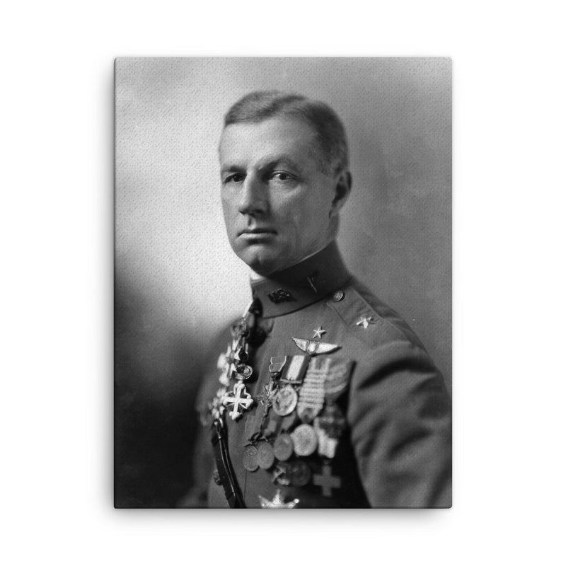 Billy Mitchell canvas print on a plain backdrop in size 18