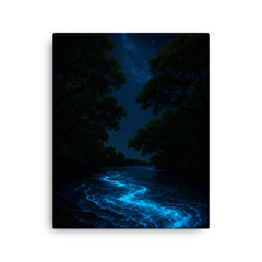 Bioluminescent Mosquito Bay under black mangroves canvas print on a plain backdrop in size 16"x20".