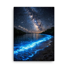 Bioluminescent Mosquito Bay under starfield canvas print on a plain backdrop in size 18"x24".