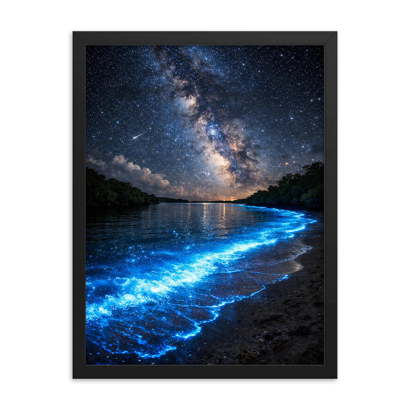 Bioluminescent Mosquito Bay under starfield framed print on a plain backdrop in size 18